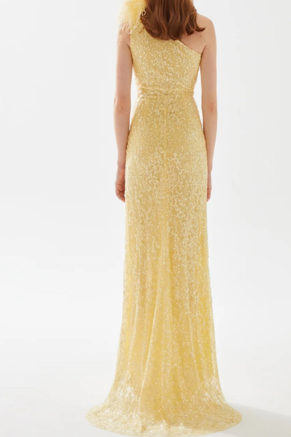 Tarik Ediz Dress