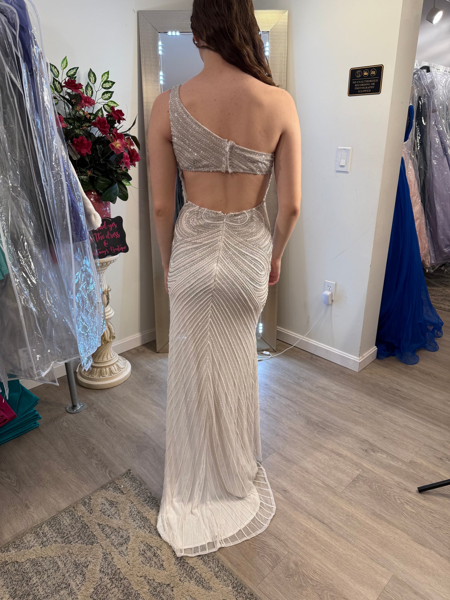 Rachel Allan Dress