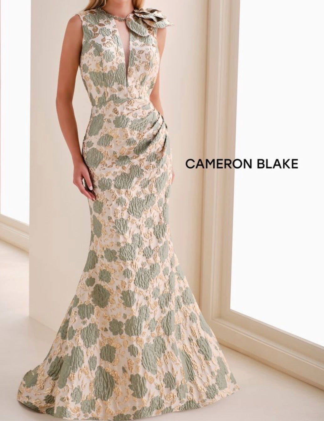 Cameron Blake Dress #C9316