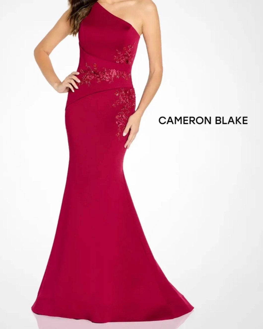 Cameron Blake Dress #BC9332