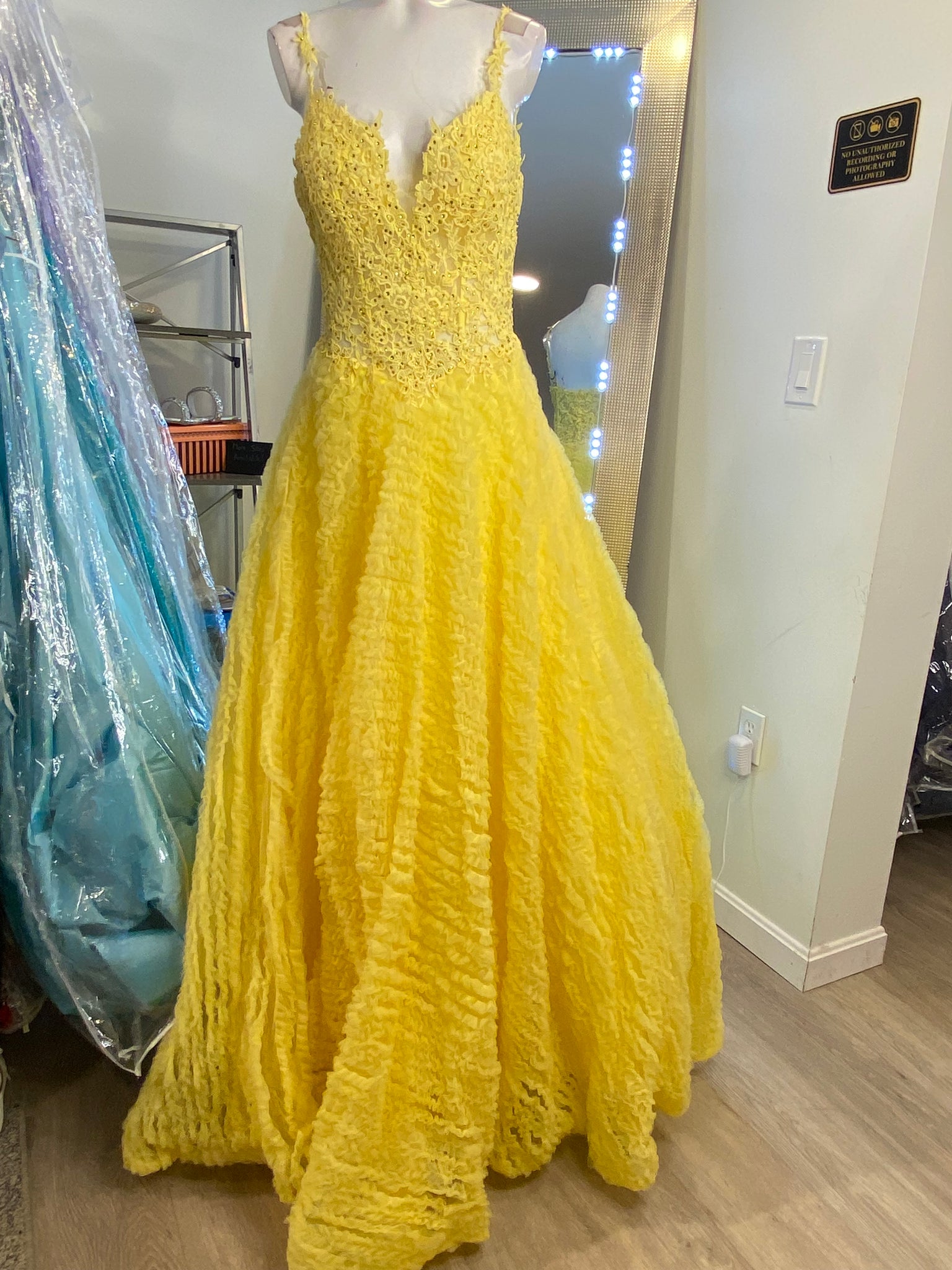 Rachel Allan Dress #RA6132