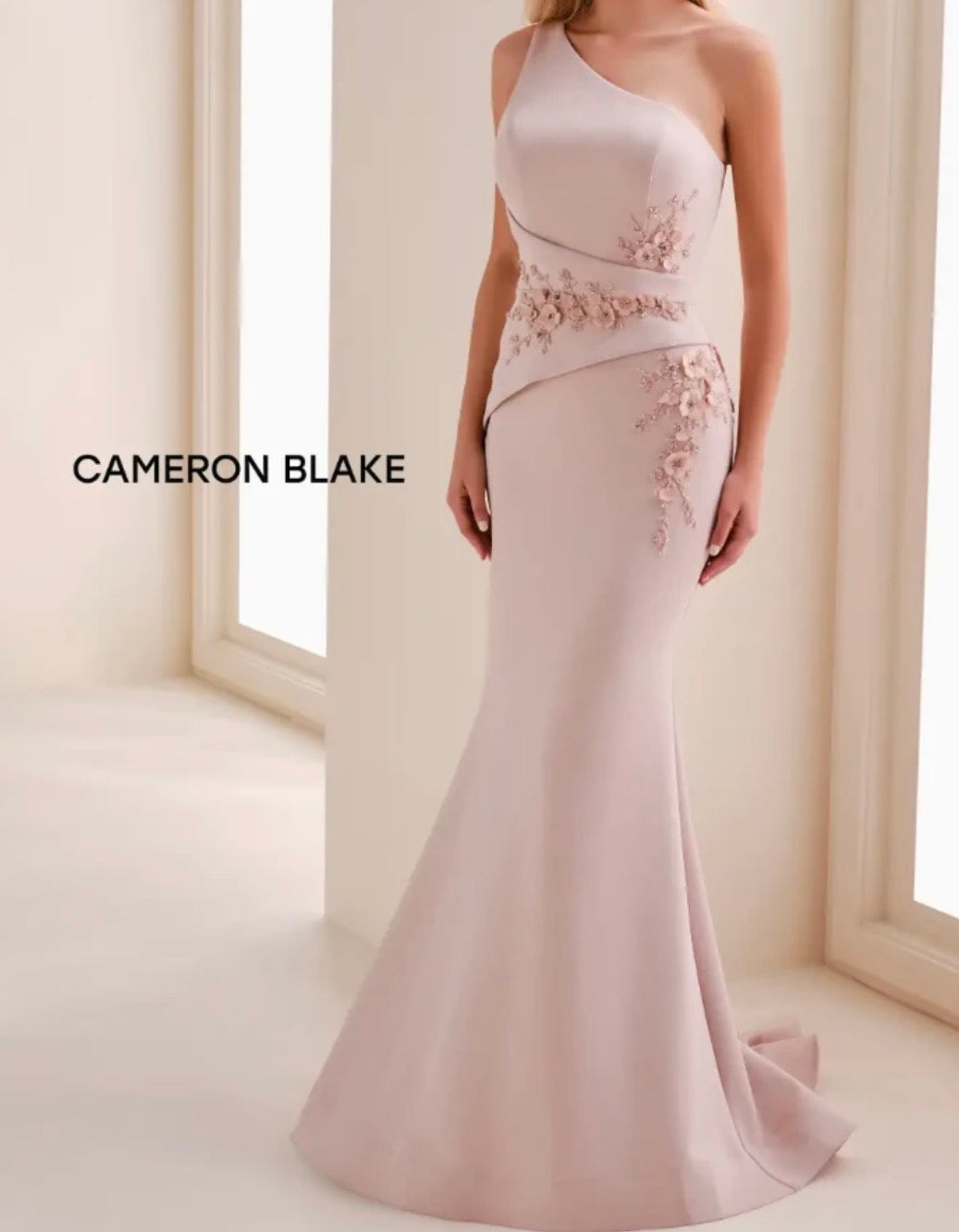 Cameron Blake Dress #BC9332