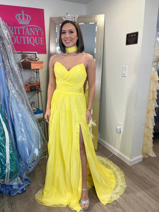 Rachel Allan Dress #32998