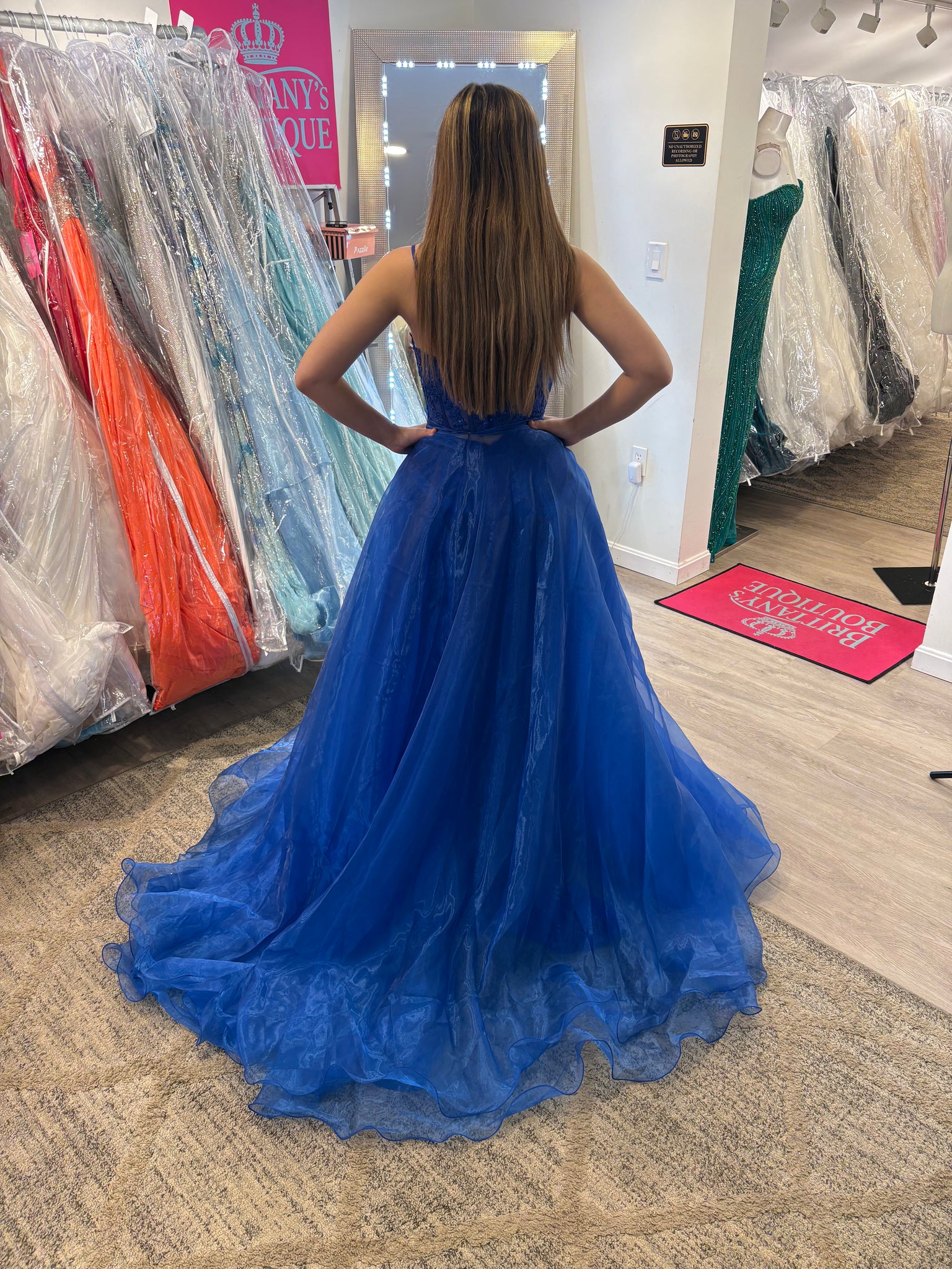 Rachel Allan Dress