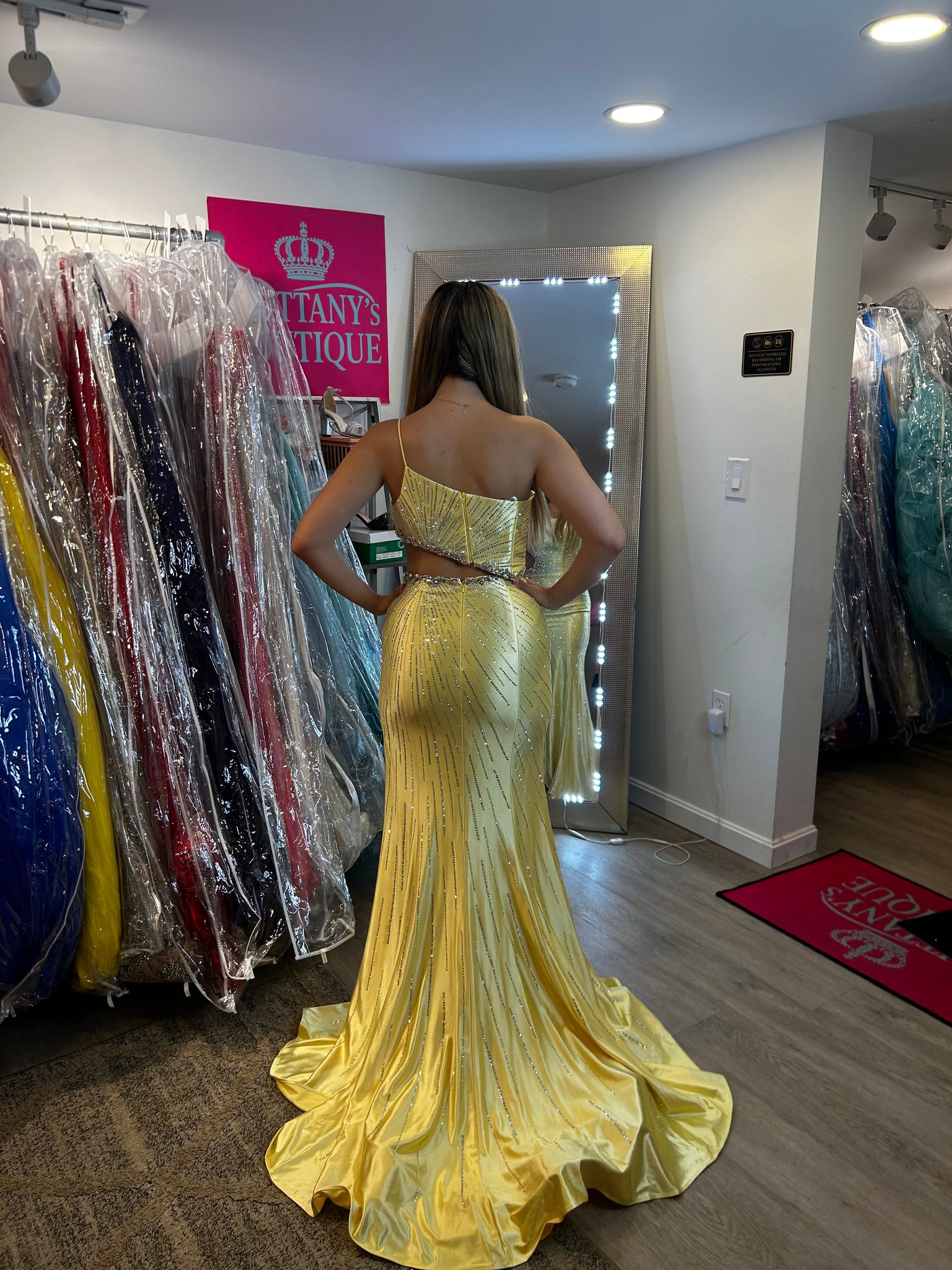 Rachel Allan Dress #RA3056