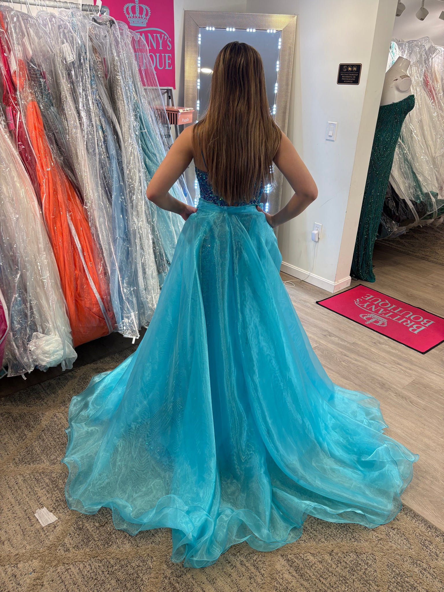 Rachel Allan Dress