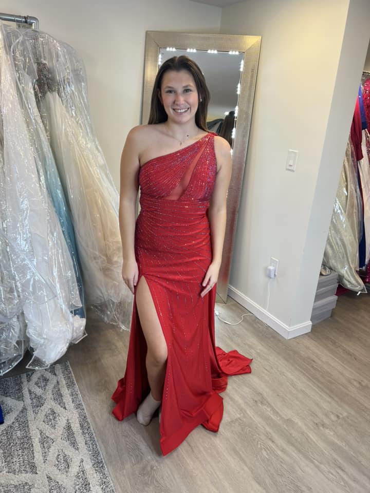 Rachel Allan Dress